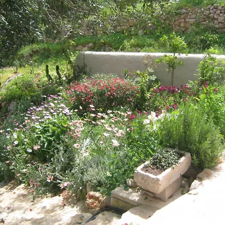 Casa Dos Reis By Portucasa * تافيرا