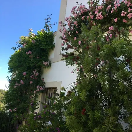 Casa Dos Reis By Portucasa Villa *